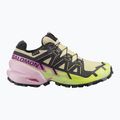 Női futócipők Salomon Speedcross 6 GTX bog/dawn pink