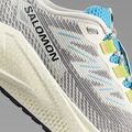Férfi futócipő Salomon Aero Blaze 3 GRVL vanilla ice/ojos del salar/black 8