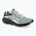 Női futócipők Salomon Alphaglide GTX green milieu/asphalt