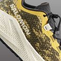 Női futócipő Salomon Aero Glide 4 GRVL beach ball/asphalt/vanilla ice 8