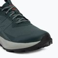 Férfi túracipő Salomon Elixir Activ GTX scarab/green gable 7