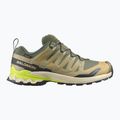 Férfi futócipők Salomon XA Pro 3D V9 GTX grape leaf/aloe