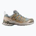Férfi futócipők Salomon XA Pro 3D V9 GTX sedona sage/brilliant olive