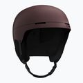 Sísisak Salomon Brigade Index huckleberry