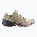 Női futócipők Salomon Speedcross 6 GTX eucalyptus/slate green