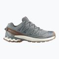 Férfi futócipők Salomon XA Pro 3D V9 GTX Lifelong sedona sage/coyote brown
