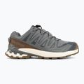 Férfi futócipők Salomon XA Pro 3D V9 GTX Lifelong sedona sage/coyote brown 2