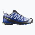 Férfi futócipők Salomon XA Pro 3D V9 Icon black/brunnera blue