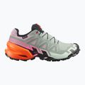 Női futócipők Salomon Speedcross 6 GTX Icon black/green milieu
