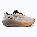 Női futócipők Salomon Aero Blaze 4 GRVL GTX rainy day/black 2