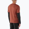 Férfi futó póló Salomon Sense Aero GFX Tee SS burnt umber/coffee bean 2