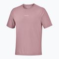 Férfi futó póló Salomon Shakeout Core SS Tee antler 4