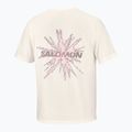 Férfi futó póló Salomon Shakeout Core GFX SS Tee whisper white/pink frosting 6