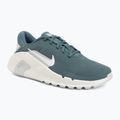 Férfi edzőcipő Nike Flex Train mineral slate/spruce aura/white