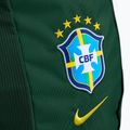 Hátizsák Nike Academy Brazil 30 l pro green 4