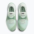 Női edzőcipő Nike Metcon 10 barely green/steam/light silver/black 5