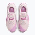 Női edzőcipő Nike Metcon 10 pearl pink/light magenta/light magenta 5