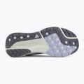 Női futócipő Nike ACG Pegasus Trail ghost/mineral slate/cement grey 4