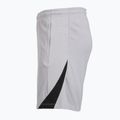 Férfi labdarúgó rövidnadrág Nike Paris Saint-Germain Strike SE atmosphere grey/black/black 8