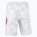 Férfi focishort Nike Dri-Fit Poland Stadium Home white/field silver 2