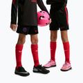 Gyerek futball rövidnadrág Nike Paris Saint-Germain Strike black/hyper royal/global red/global red