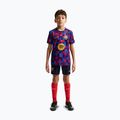 Gyerek focimez Nike FC Barcelona Dri-Fit Pre-Match noble red/mineral yellow 3