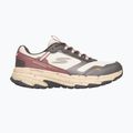 Női cipők SKECHERS Go Run Trail Altitude 2.0 Ravine beige 2