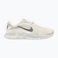 Férfi edzőcipők Nike Flex Train phantom/white/sail/pencil point