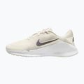 Férfi edzőcipők Nike Flex Train phantom/white/sail/pencil point 2