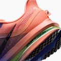 Férfi futócipők Nike Pegasus Premium racer blue/atomic pink/volt tint/black 8