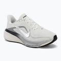 Női futócipők Nike Pegasus 42 summit white/sail/black/metallic silver