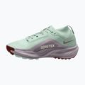 Női futócipők Nike ACG Pegasus Trail GORE-TEX Barely Green/Silver Lilac/Light Bone 2