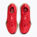 Férfi futócipő Nike ACG Zegama Trail light crimson/light orewood brown/fekete/fekete 4
