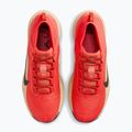 Férfi futócipők Nike ACG Pegasus Trail GORE-TEX Light Crimson/Linen/Black 5