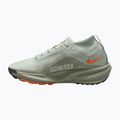 Férfi futócipők Nike ACG Pegasus Trail GORE-TEX Light Silver/Light Army/Light Silver 2