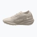 Férfi futócipők Nike ACG Pegasus Trail GORE-TEX Cream Ii/Light Orewood Brown 2