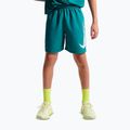 Gyerek rövidnadrág Nike Multi Refresh bright spruce