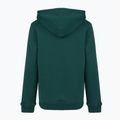 Gyerek pulóver New Balance Brush Back Small Logo Hoodie medusa green 7