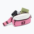 Övtáska Columbia Trail Traveler Hip sea salt/rosette/moonvista 4