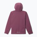 Gyerek softshell dzseki Columbia Ascender Hooded Softshell antique mauve 2