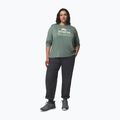 Női hosszú ujjú póló Columbia Parsons Point LS Graphic Tee sedona sage heather/all terrain 2