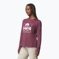 Női hosszú ujjú póló Columbia Parsons Point LS Graphic Tee antique mauve heather/all terrain 4