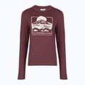 Női hosszú ujjú póló Columbia Parsons Point LS Graphic Tee antique mauve heather/all terrain 6