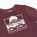 Női hosszú ujjú póló Columbia Parsons Point LS Graphic Tee antique mauve heather/all terrain 8
