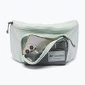 Övtáska Columbia Zigzag II Hip Pack 1 l sedona sage/tea light 4