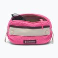 Övtáska Columbia Helvetia II Hip Pack 1 l nico/dark stone 3