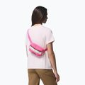 Övtáska Columbia Helvetia II Hip Pack 1 l nico/dark stone 6