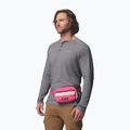 Övtáska Columbia Helvetia II Hip Pack 1 l nico/dark stone 7