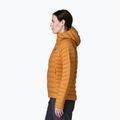 Női pehelykabát Patagonia Down Sweater Hoody cinnamon brown 4
