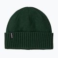Téli sapka Patagonia Brodeo treeline green